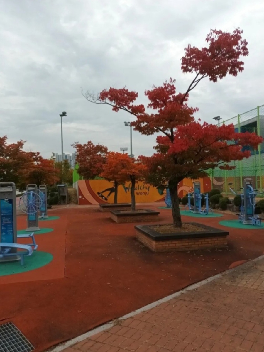 태후사랑염색방 이미지
