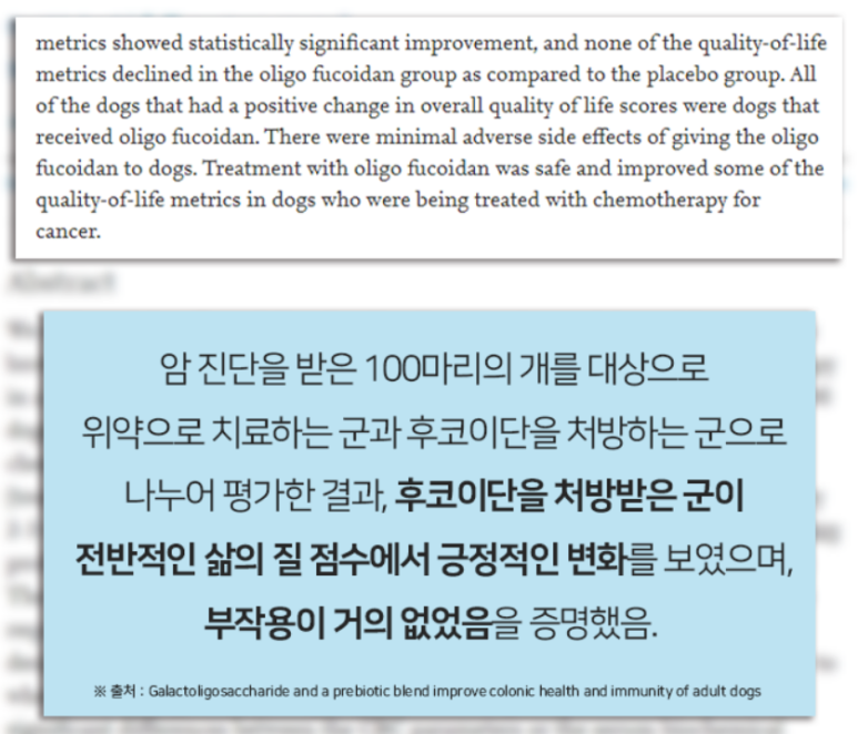 무스테일 이미지