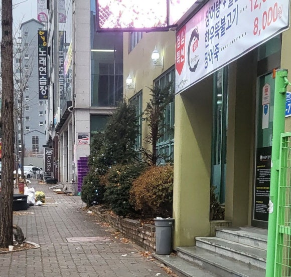 풍천일등장어 이미지