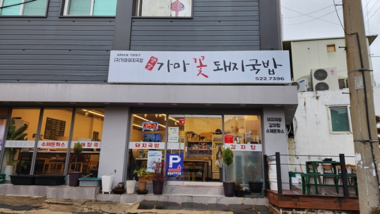 가마꽃돼지 이미지