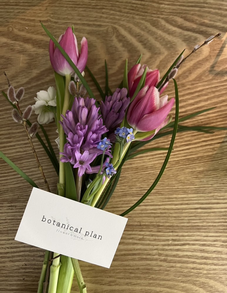 보태니컬 플랜(Botanical Plan) 이미지