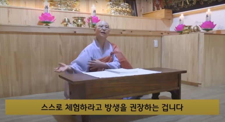 장어와미꾸라지 이미지