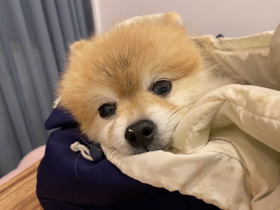 이층커피 이미지
