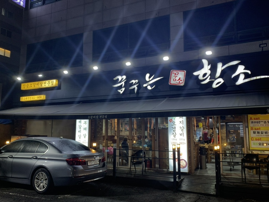 꿈꾸는황소 이미지