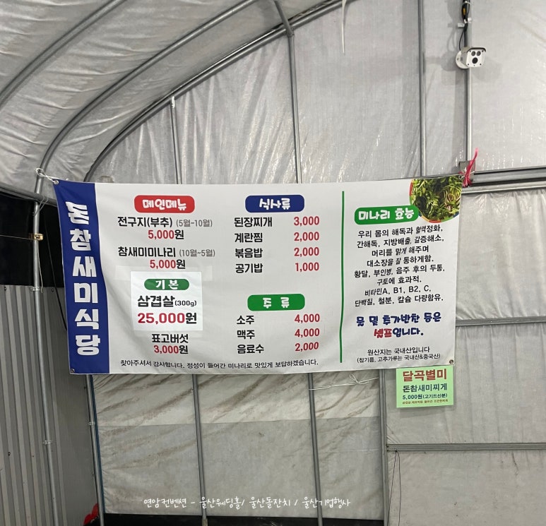 돈참새미 이미지