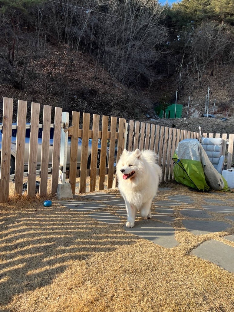 멍편한세상 이미지