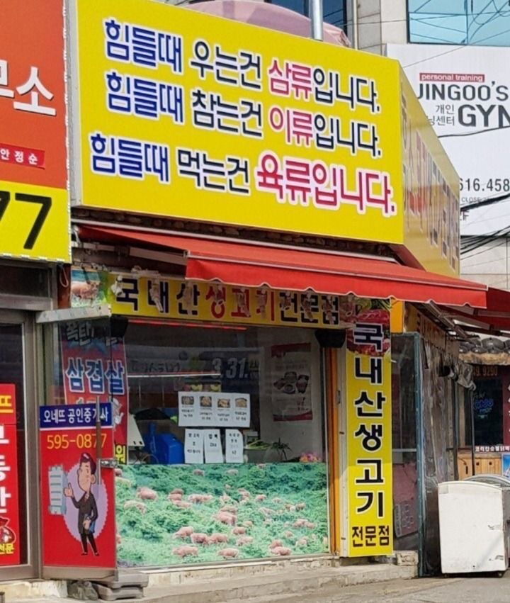 꿈꾸는황소 이미지