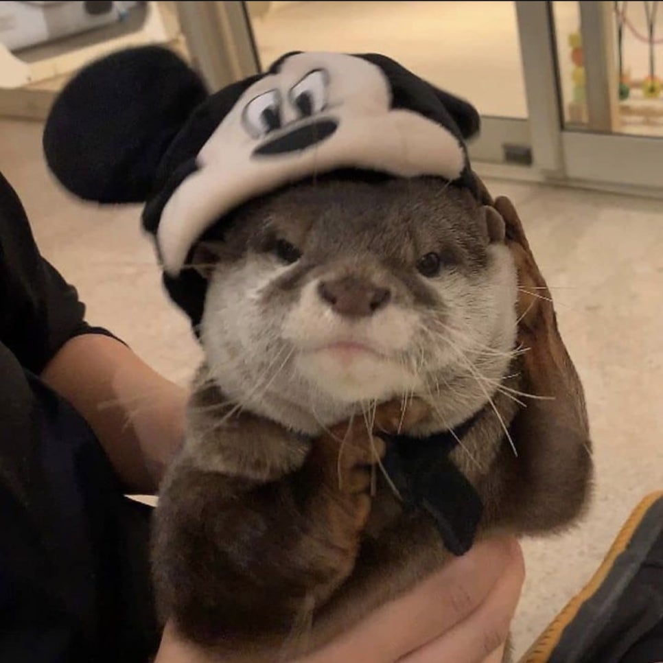 해피지니 이미지