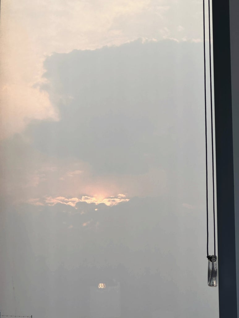 카페 파라 이미지
