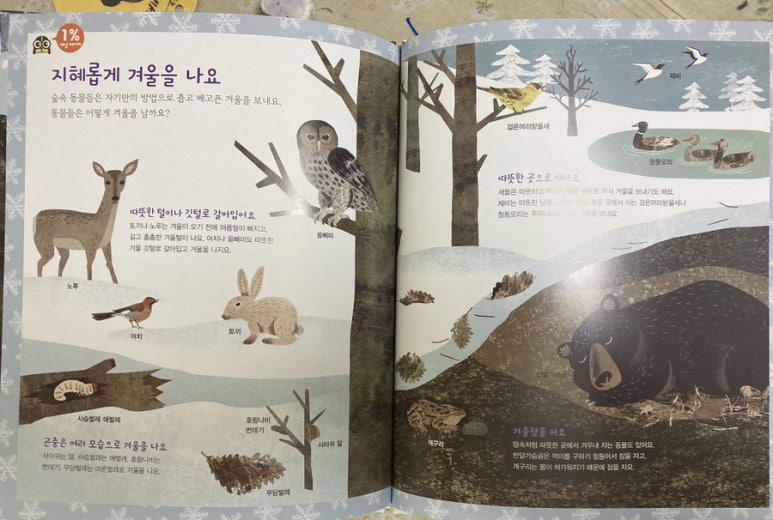 숲속머리방 이미지