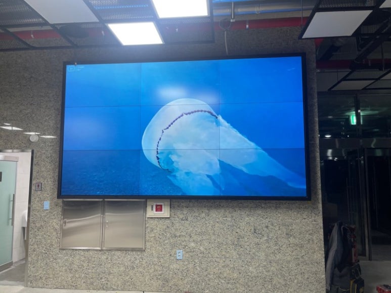 비젼마트 이미지
