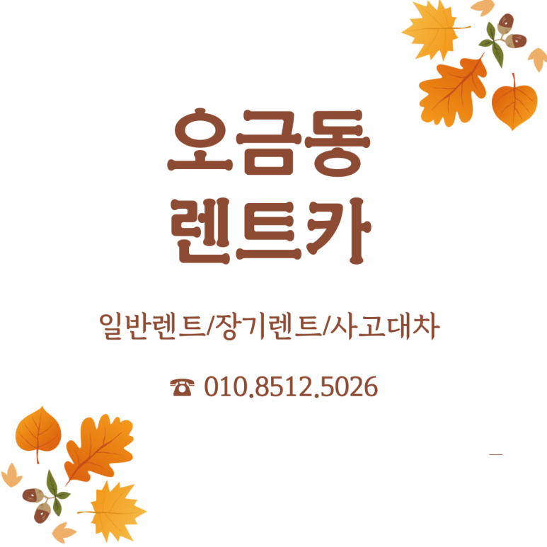 더휴먼카 이미지