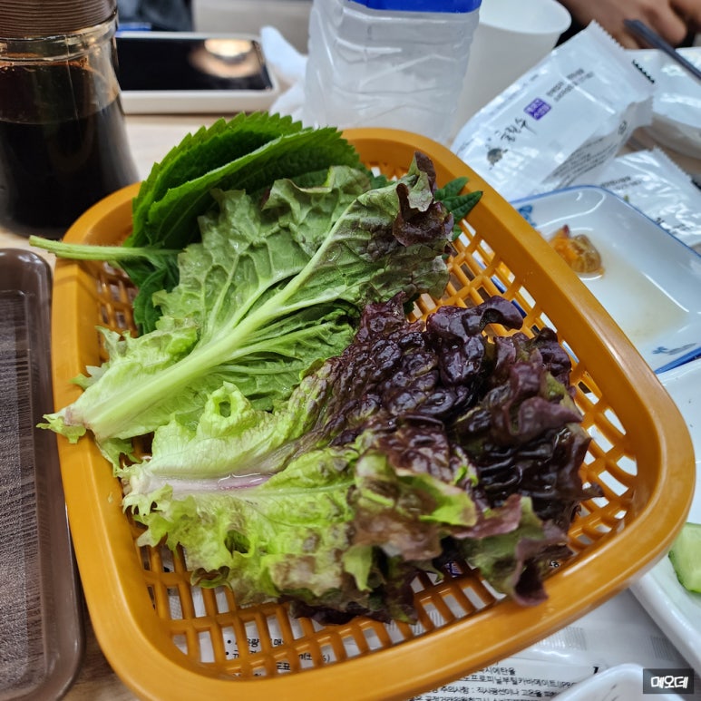 동진초장 이미지