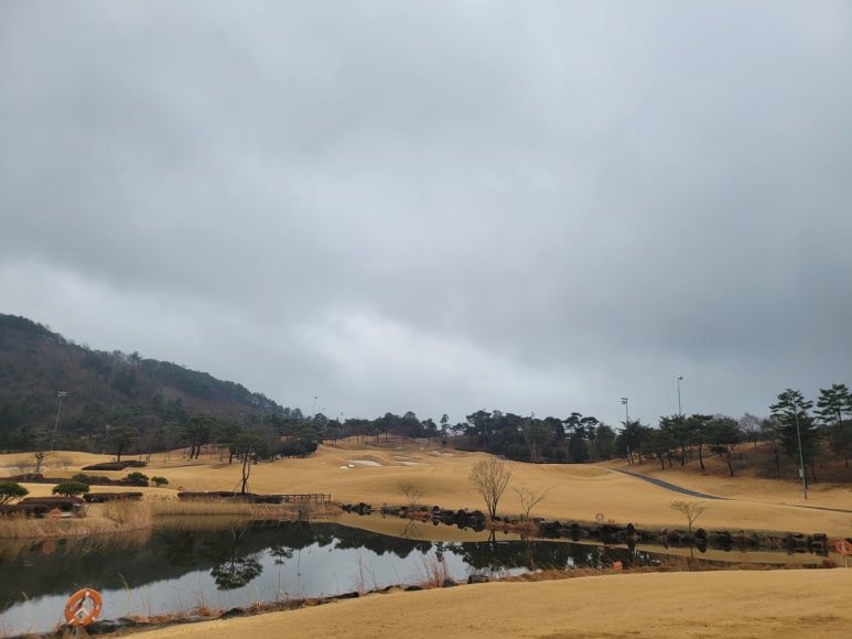 화.수.목(花.水.木 이미지
