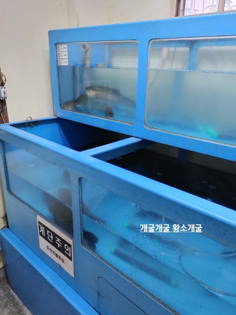 춘천민물횟집 이미지