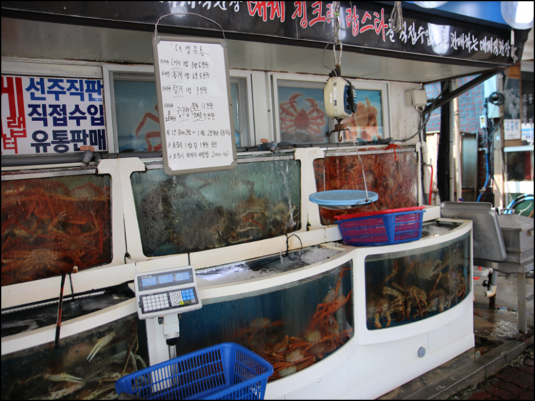 통통유통 이미지