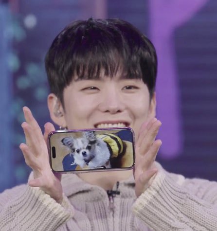 꼰띠고1 이미지