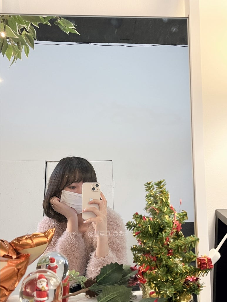 프제 이미지