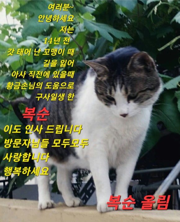 나드리옷수선 이미지