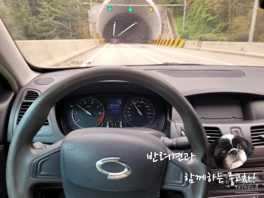 영동가스주 이미지