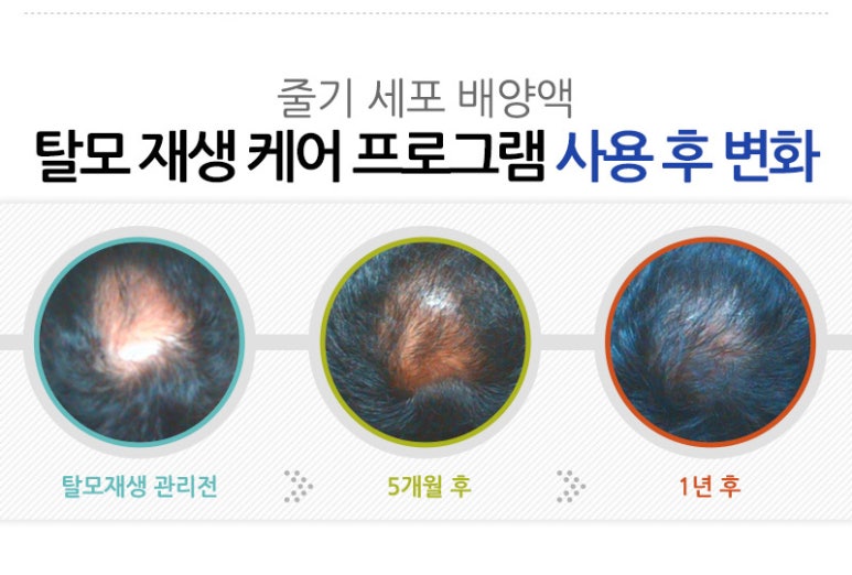 옻 안타는 천연염색 공덕점 이미지