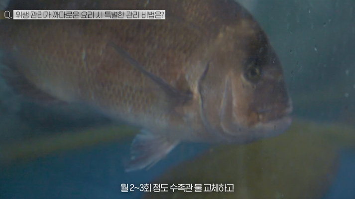 원스시 이미지