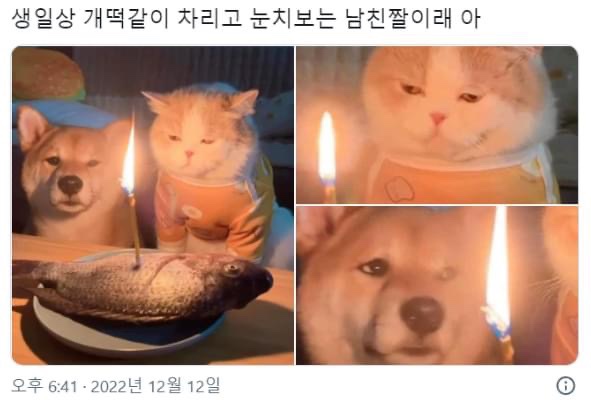 케이크시즌 이미지
