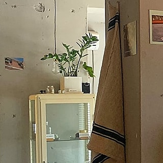 세탁쏘 이미지