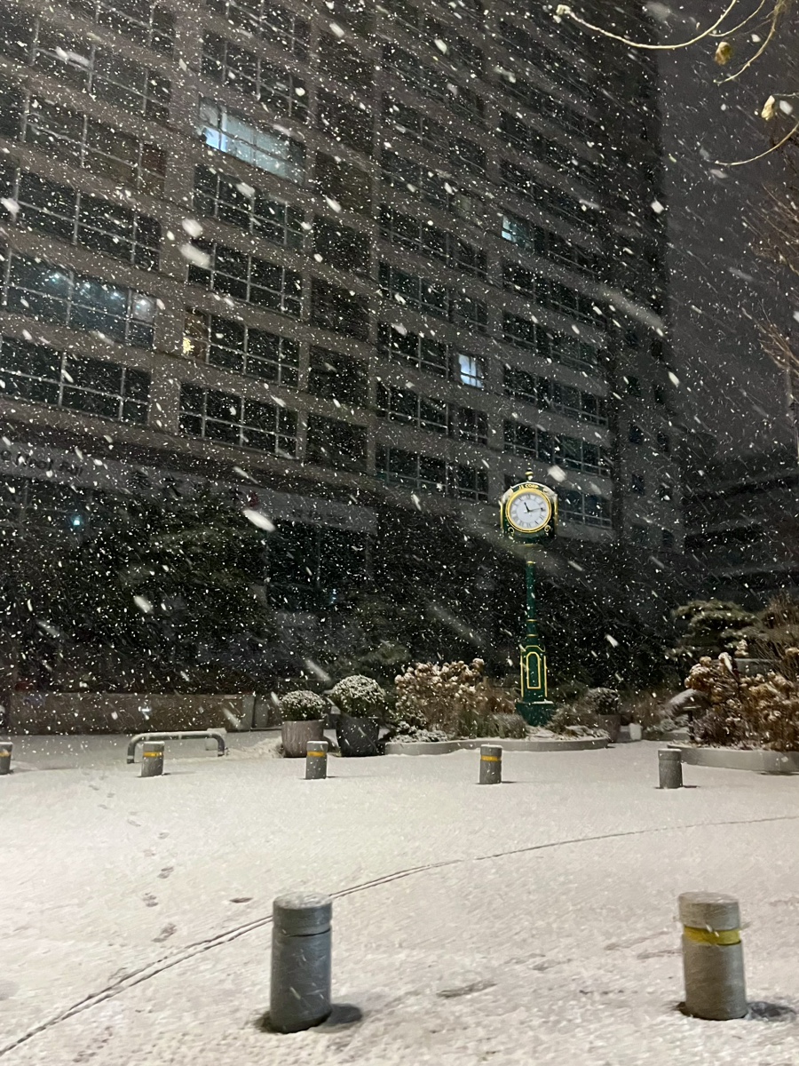 냠냠이꼬마김밥 이미지