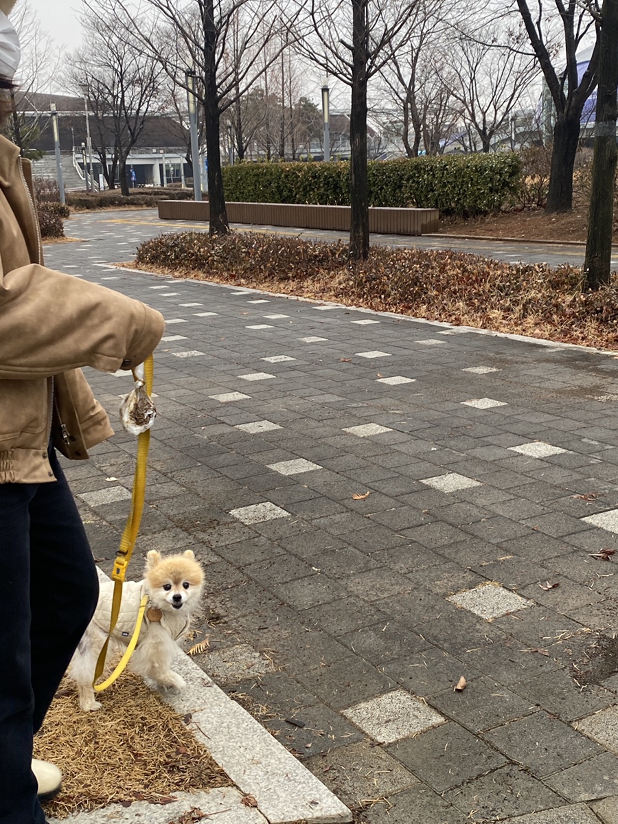 이층커피 이미지