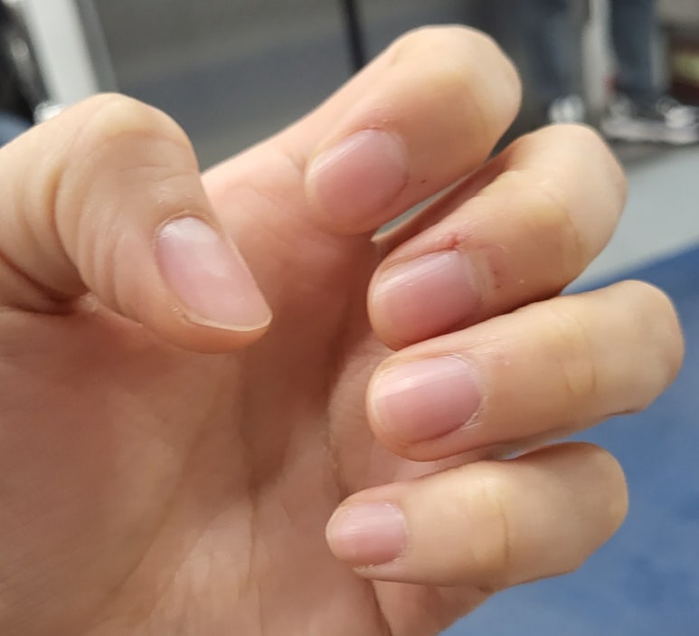 문캣네일 이미지