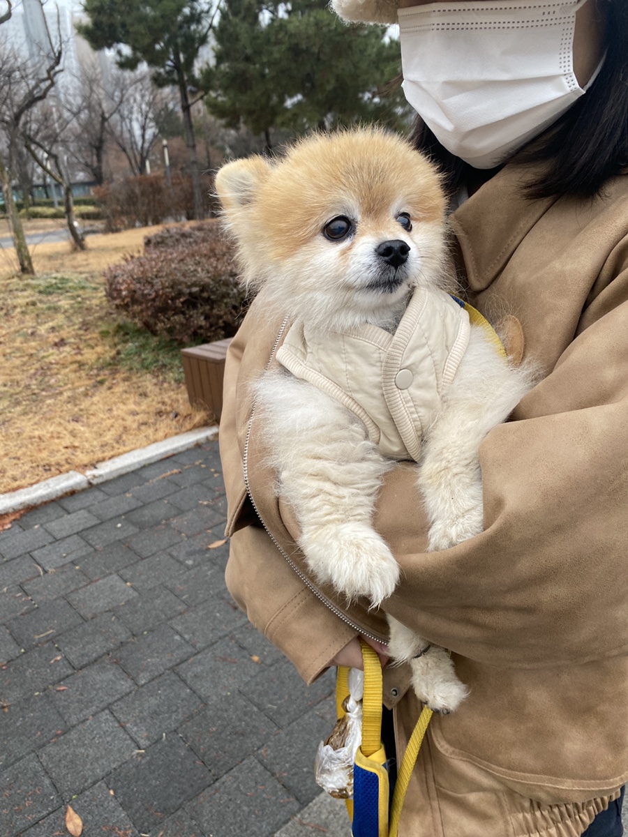이층커피 이미지