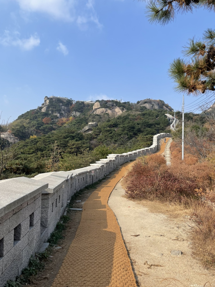 체부동잔치집 이미지