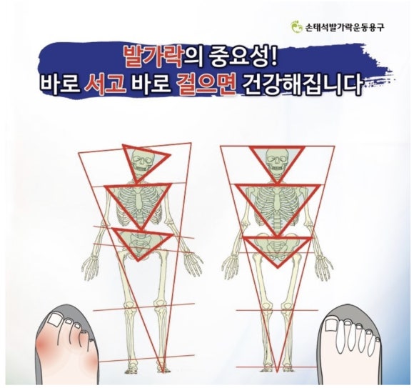 신체발란스운동연구소 이미지
