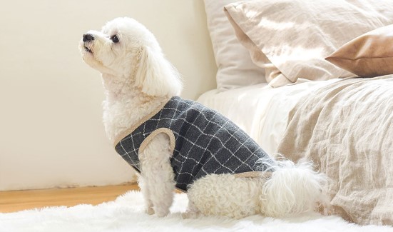스타일팩토리 이미지