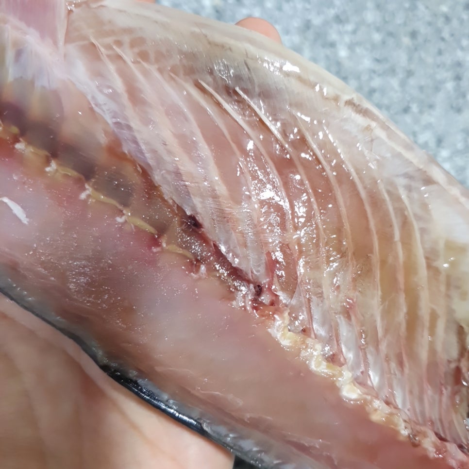 세명수산 이미지
