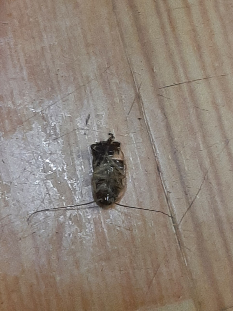 청소싹 이미지