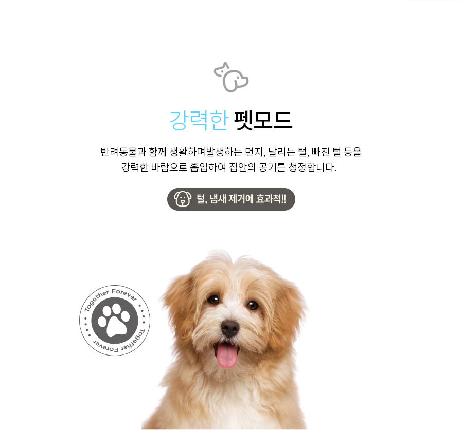 태양라이프 이미지
