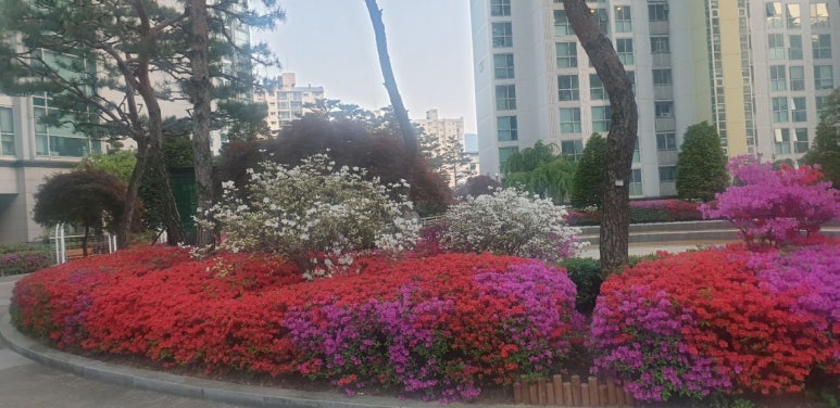 강남태평양약국 이미지