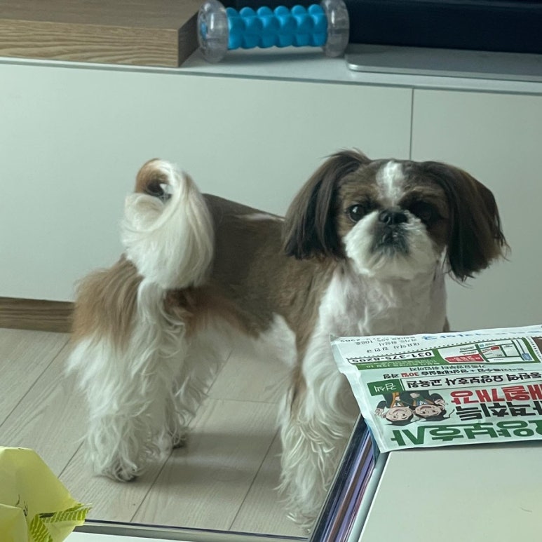 야미미용실 이미지