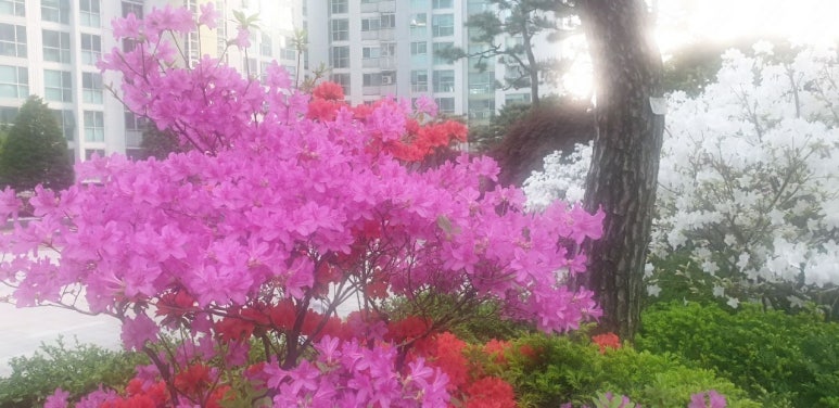 강남태평양약국 이미지