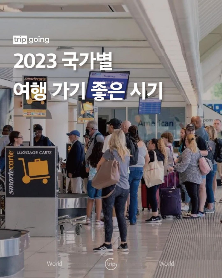 트립고잉 이미지