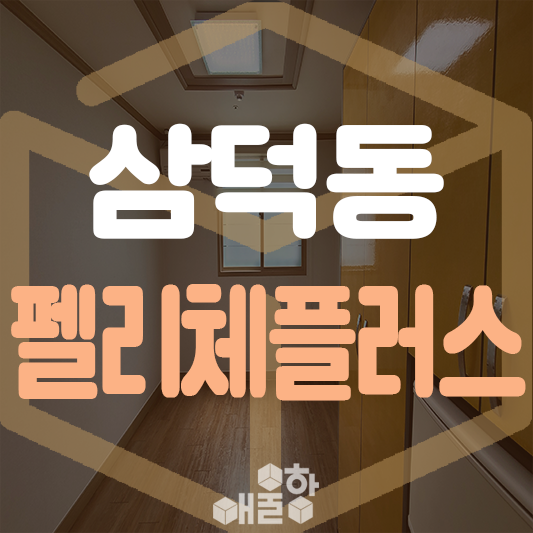 펠리체플러스 이미지