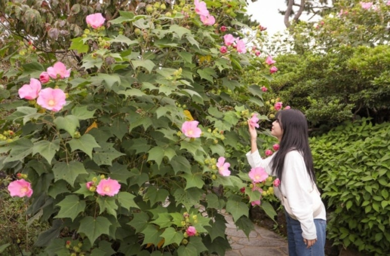 정원다방 이미지