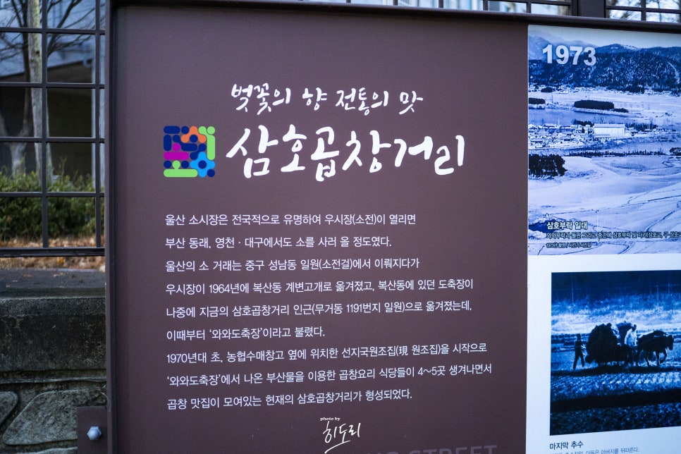 삼호곱창 이미지