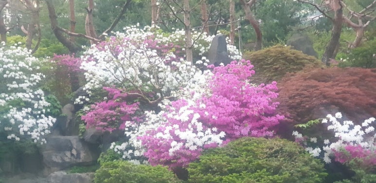 강남태평양약국 이미지