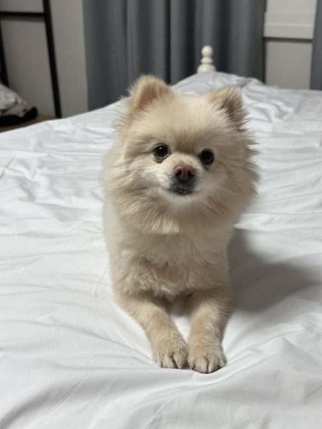 뜨레비호텔 이미지