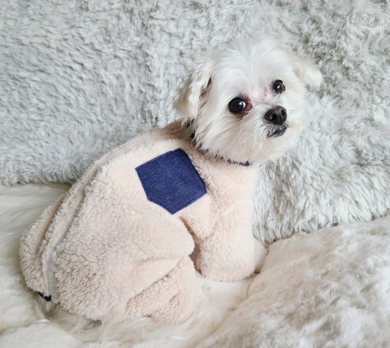 냥츠 이미지