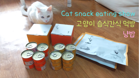 헬로가토스 이미지