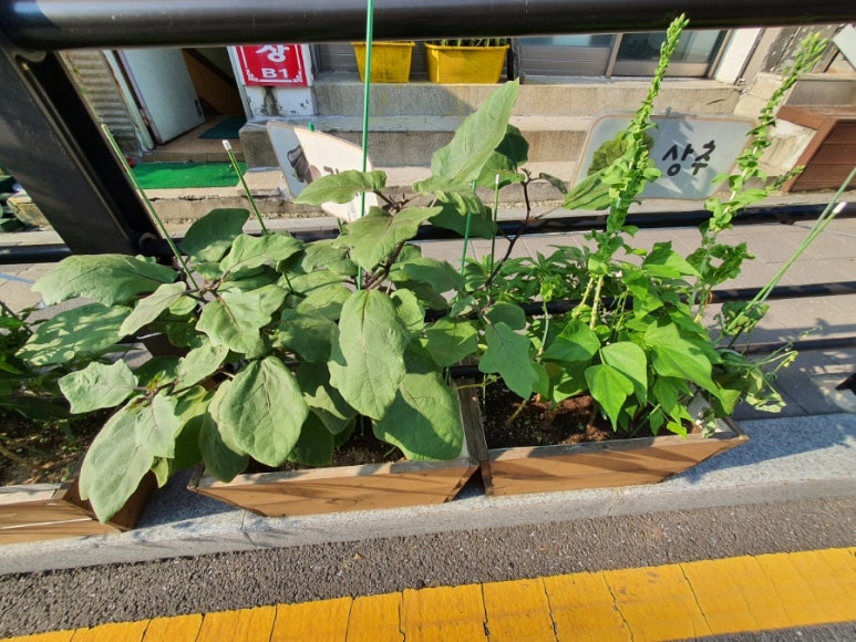 반석플라워 이미지